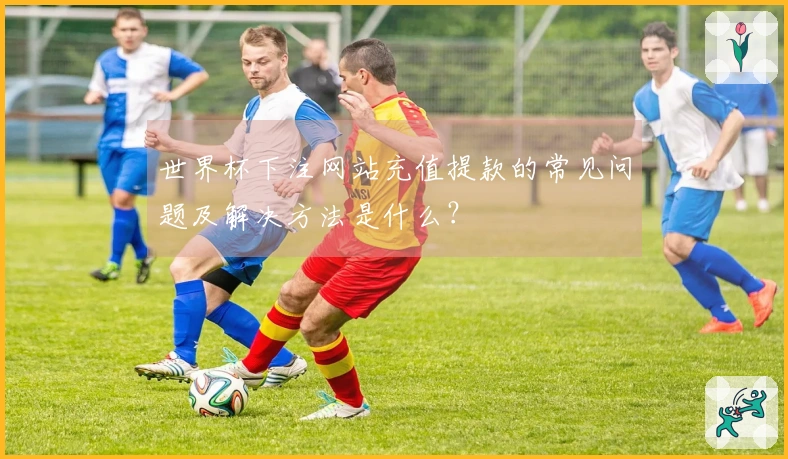 世界杯下注网站充值提款的常见问题及解决方法是什么？