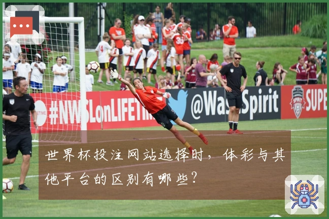 世界杯投注网站选择时，体彩与其他平台的区别有哪些？