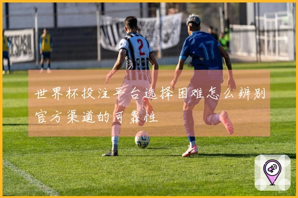 世界杯投注平台选择困难怎么辨别官方渠道的可靠性