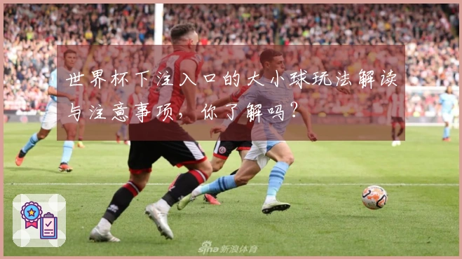 世界杯下注入口的大小球玩法解读与注意事项，你了解吗？