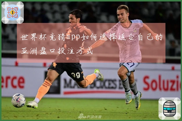 世界杯竞猜app如何选择适合自己的亚洲盘口投注方式