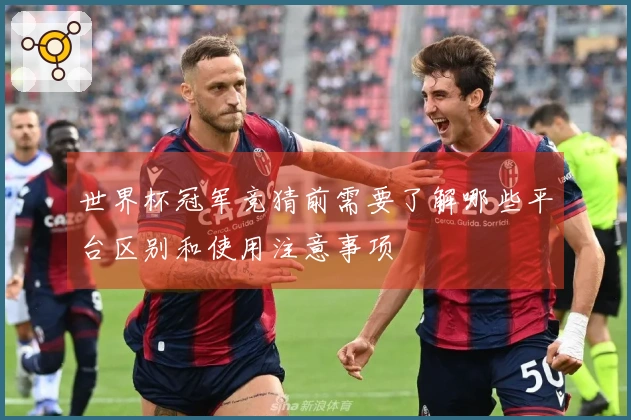 世界杯冠军竞猜前需要了解哪些平台区别和使用注意事项