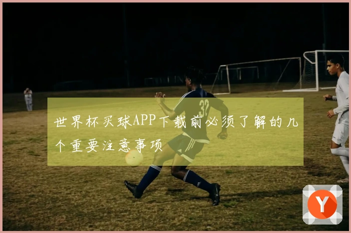 世界杯买球APP下载前必须了解的几个重要注意事项