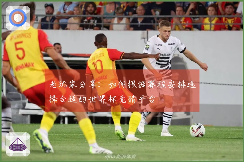 老玩家分享：如何根据赛程安排选择合适的世界杯竞猜平台