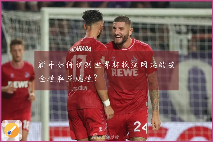 新手如何识别世界杯投注网站的安全性和正规性？