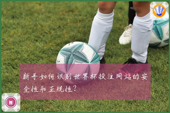 新手如何识别世界杯投注网站的安全性和正规性？