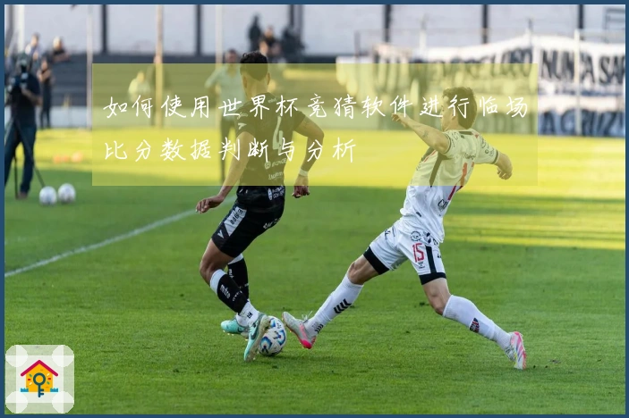 如何使用世界杯竞猜软件进行临场比分数据判断与分析