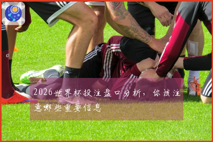 2026世界杯投注盘口分析，你该注意哪些重要信息
