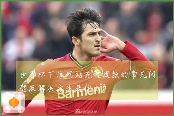 世界杯下注网站充值提款的常见问题及解决方法是什么？
