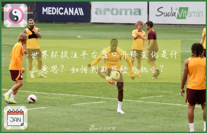 世界杯投注平台盘口升降变化是什么意思？如何判断风险与机会？