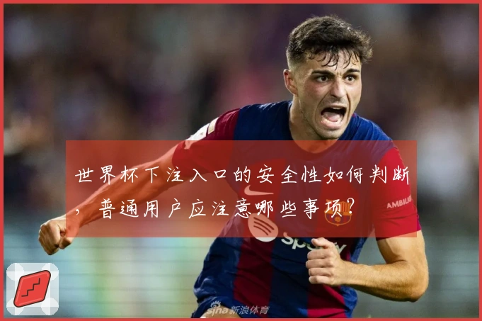 世界杯下注入口的安全性如何判断，普通用户应注意哪些事项？
