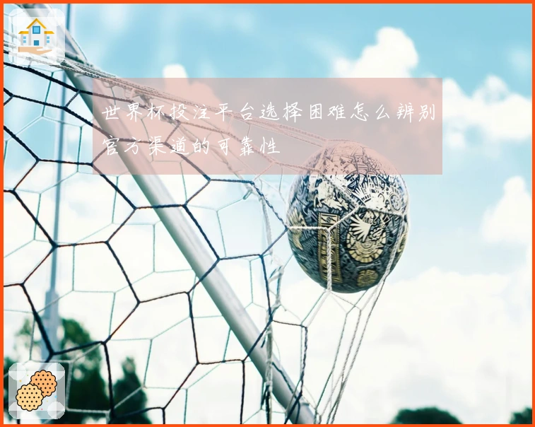 世界杯投注平台选择困难怎么辨别官方渠道的可靠性