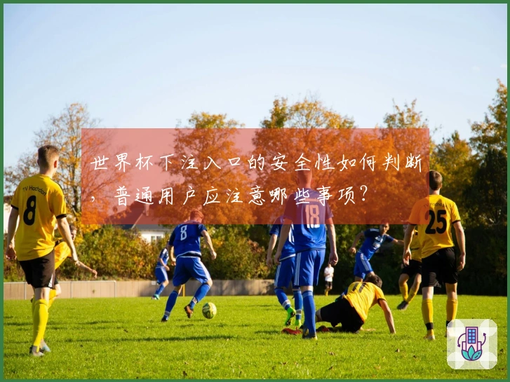世界杯下注入口的安全性如何判断，普通用户应注意哪些事项？