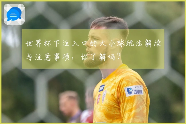 世界杯下注入口的大小球玩法解读与注意事项，你了解吗？