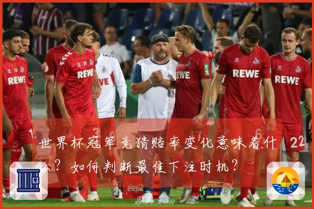 世界杯冠军竞猜赔率变化意味着什么？如何判断最佳下注时机？