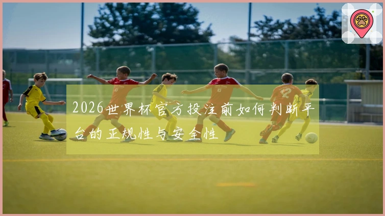 2026世界杯官方投注前如何判断平台的正规性与安全性