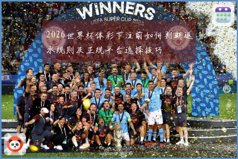 2026世界杯体彩下注前如何判断返水规则及正规平台选择技巧