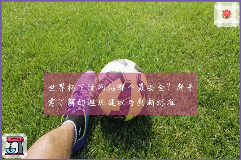 世界杯下注网站哪个最安全？新手需了解的避坑建议与判断标准