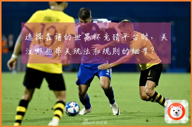选择靠谱的世界杯竞猜平台时，关注哪些串关玩法和规则的细节？